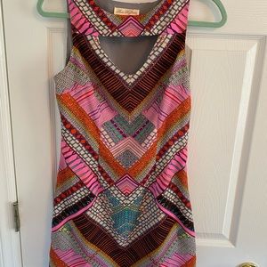 Mara Hoffman Mini Dress in Kasuri Pink